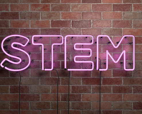Empowering Girls in STEM AI