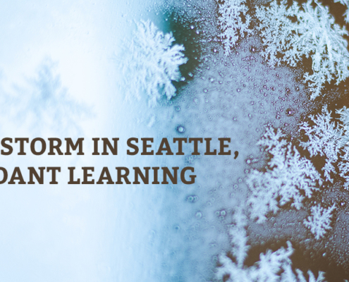 Snow Storm in Seattle, Means Abundant Learning