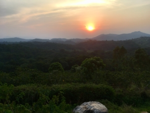 Uganda Nature